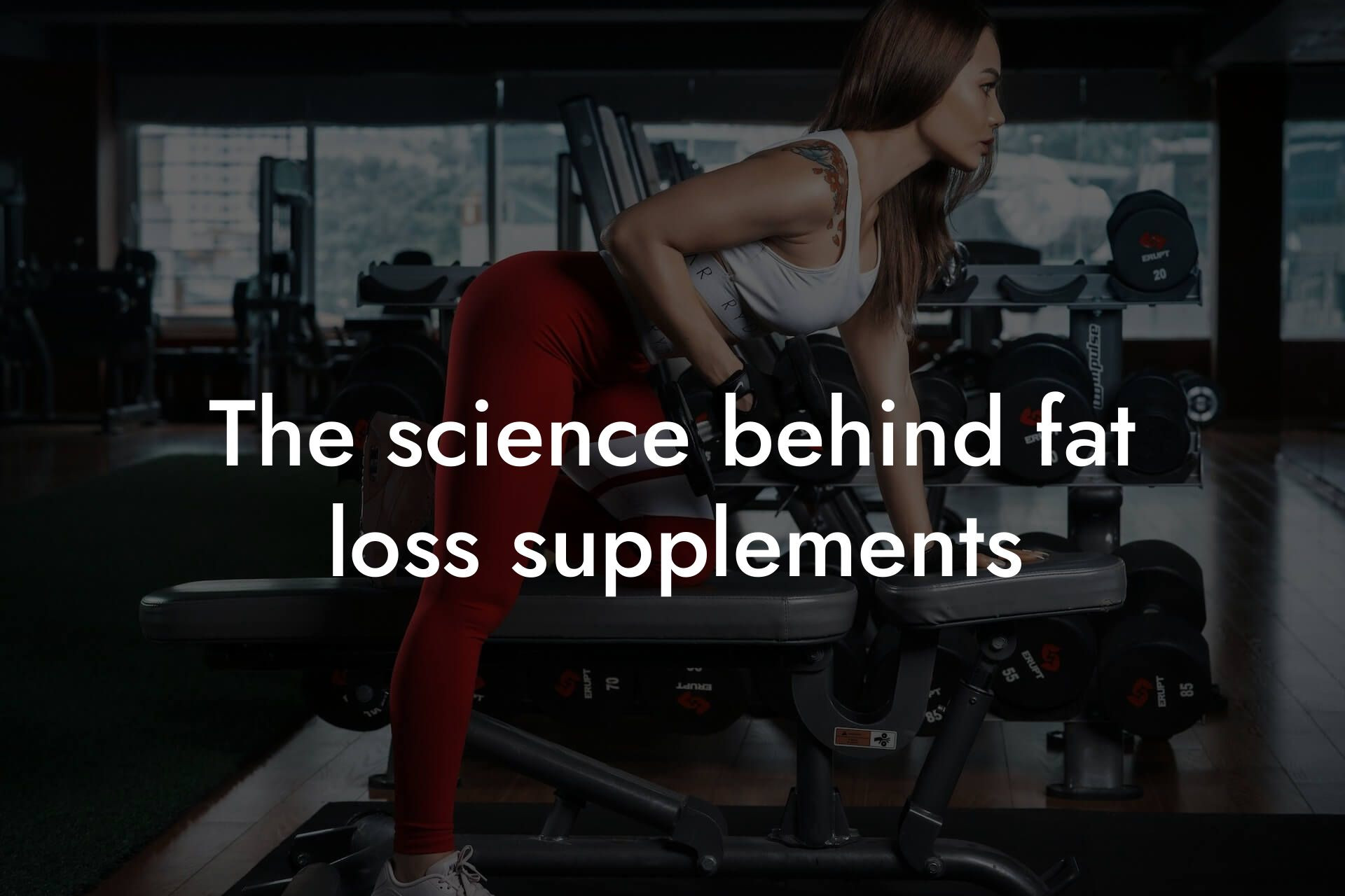 the science behind fat loss supplements tano performance dexa scanners body composition testing