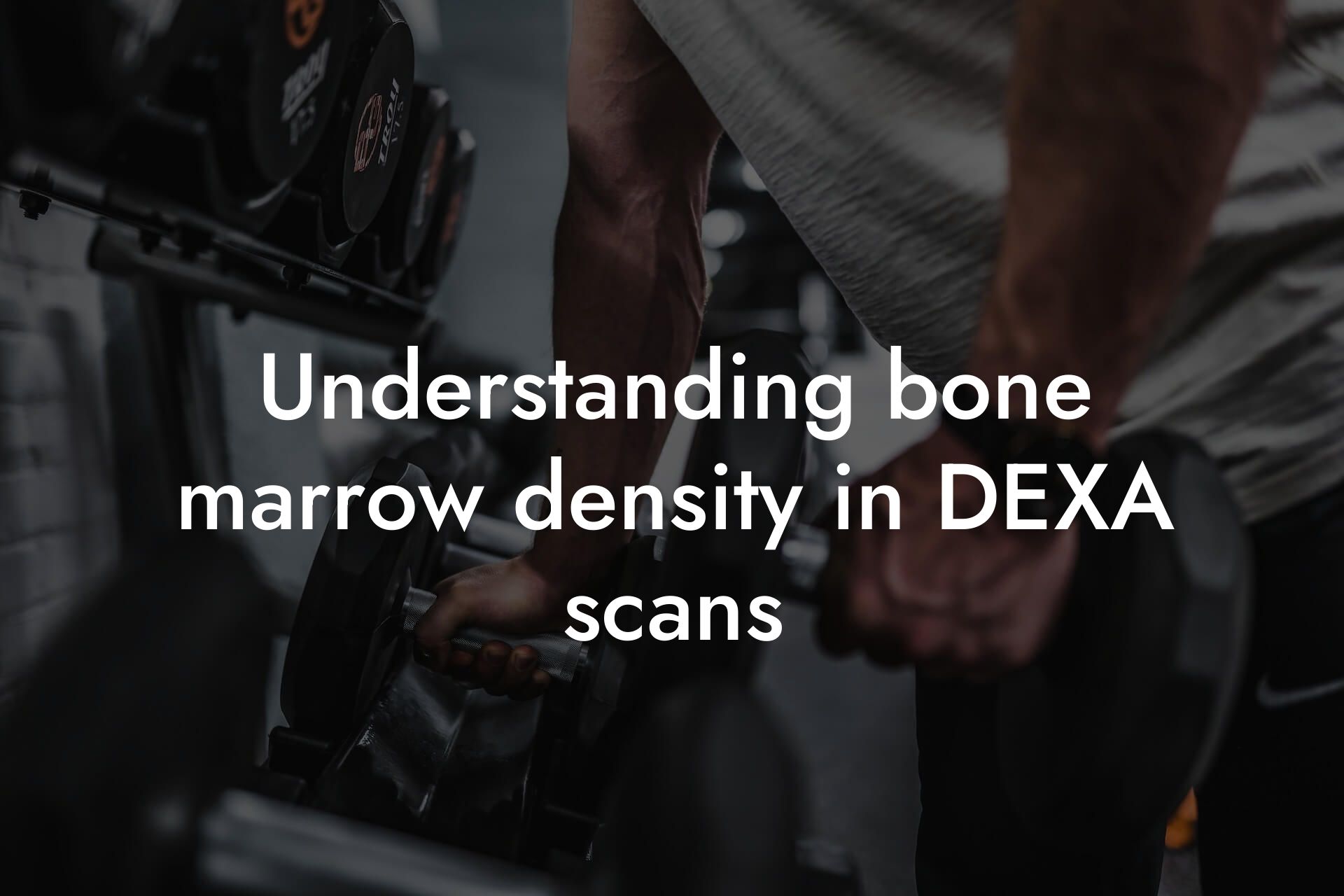 understanding bone marrow density in dexa scans tano performance dexa scanners body composition testing