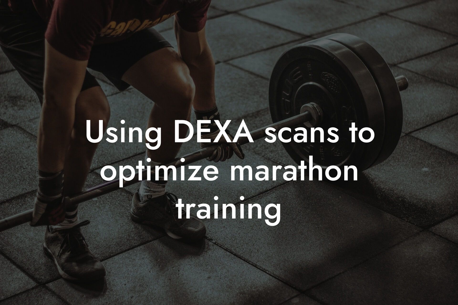 using dexa scans to optimize marathon training tano performance dexa scanners body composition testing