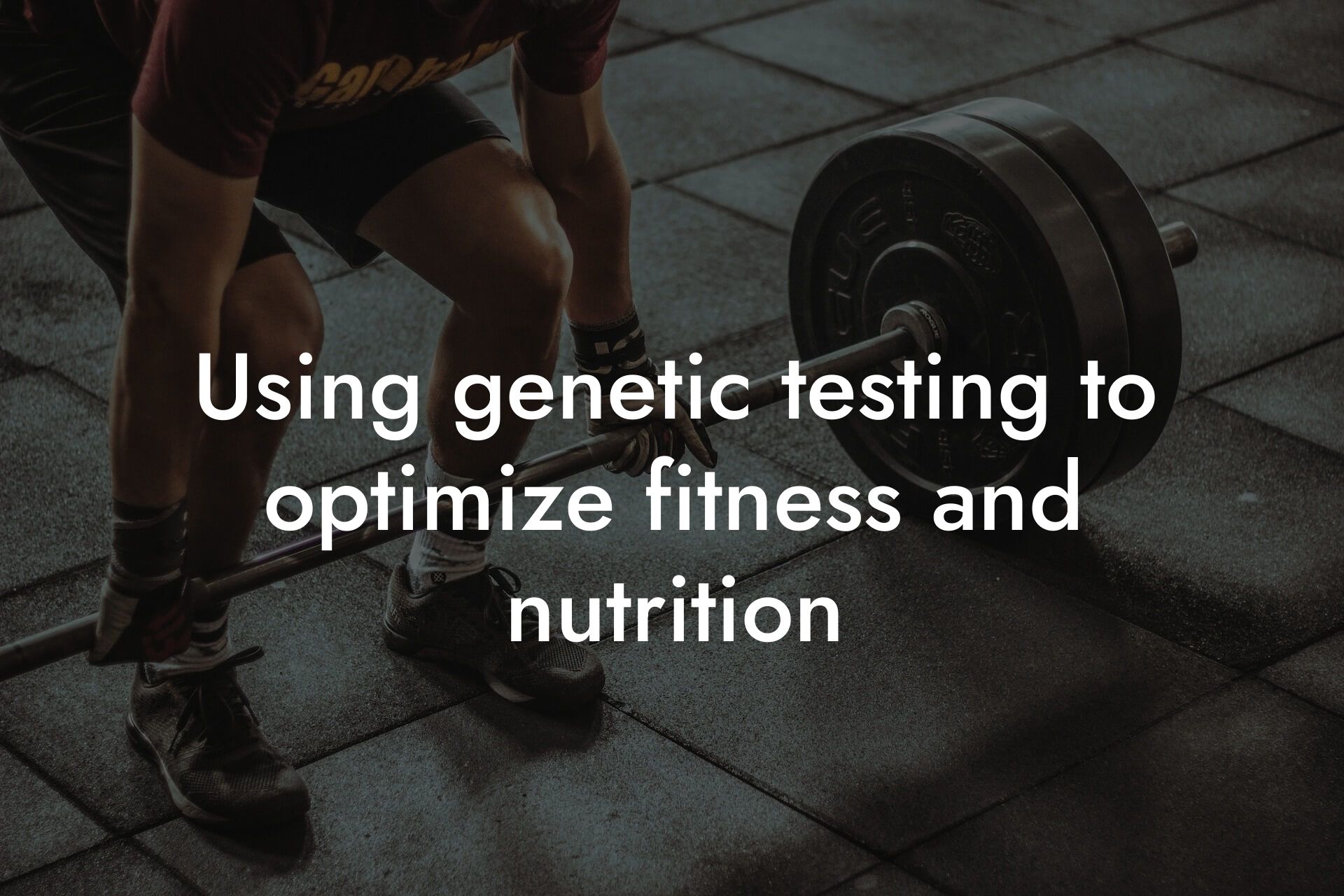 using genetic testing to optimize fitness and nutrition tano performance dexa scanners body composition testing