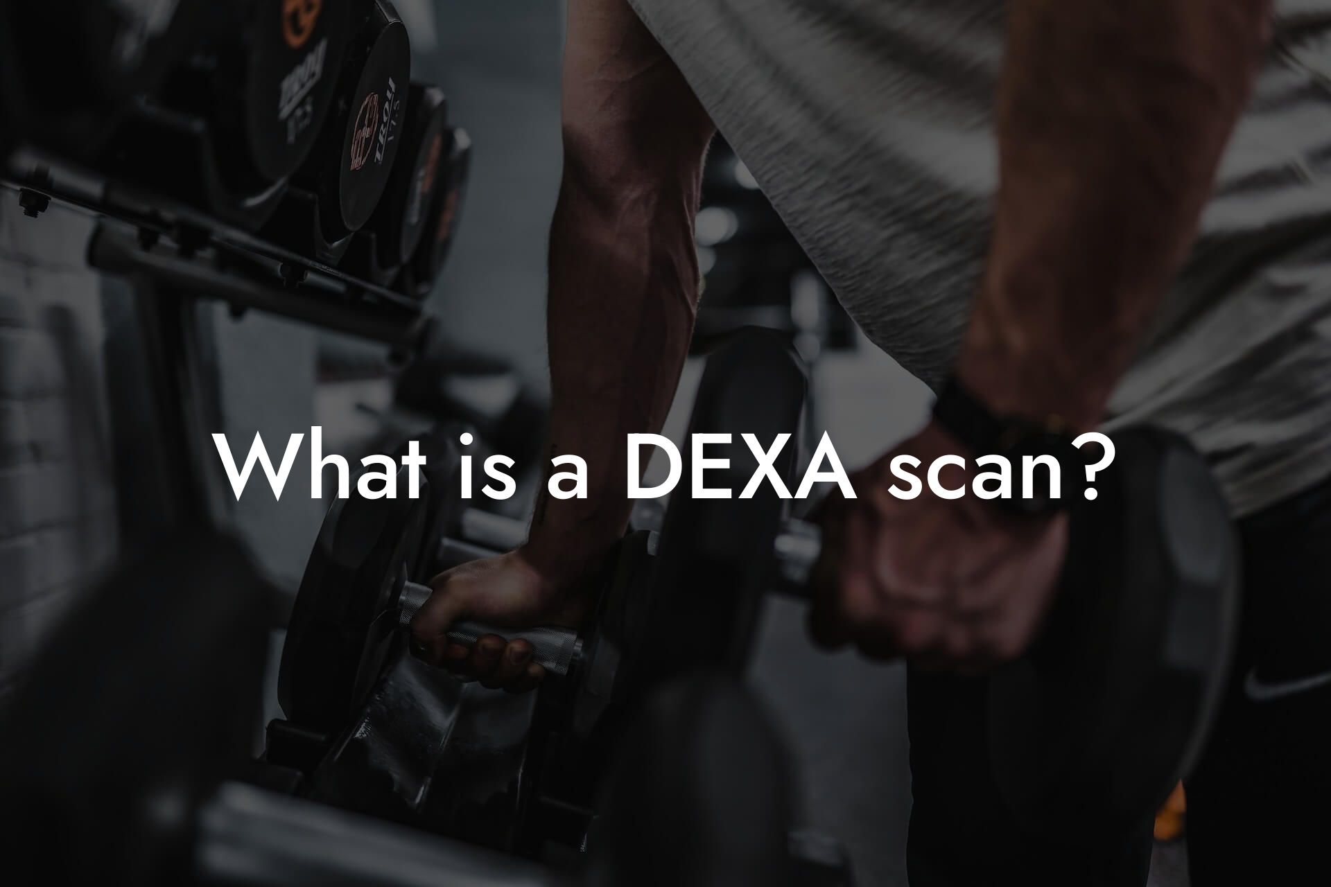 what is a dexa scan tano performance dexa scanners body composition testing